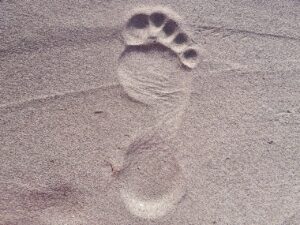 footprint, foot, sand-2624609.jpg